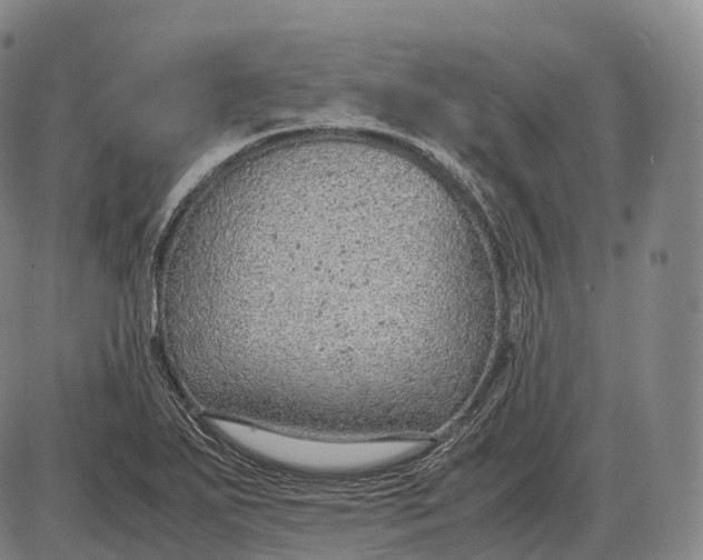 X0000085011271200703261145