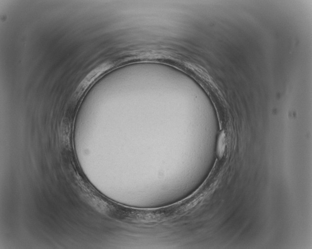 X0000085011273200703261145