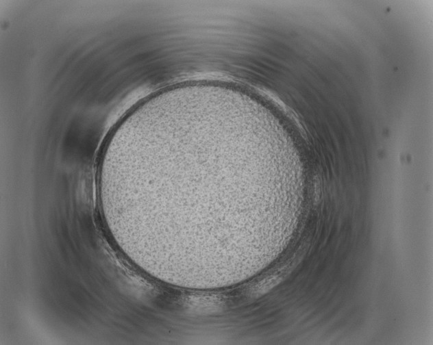 X0000085011274200703261145