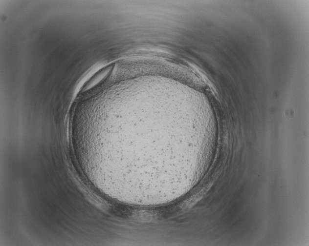 X0000085011275200703261145