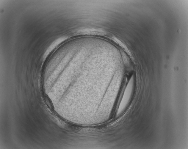 X0000085011277200703261145