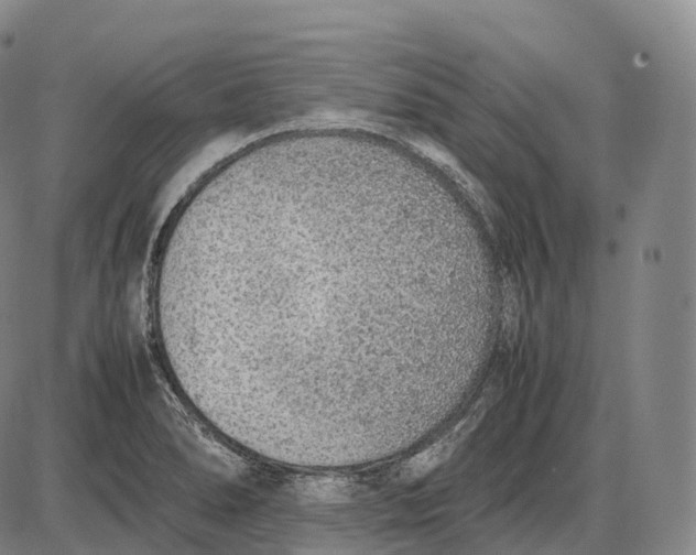 X0000085011278200703261145