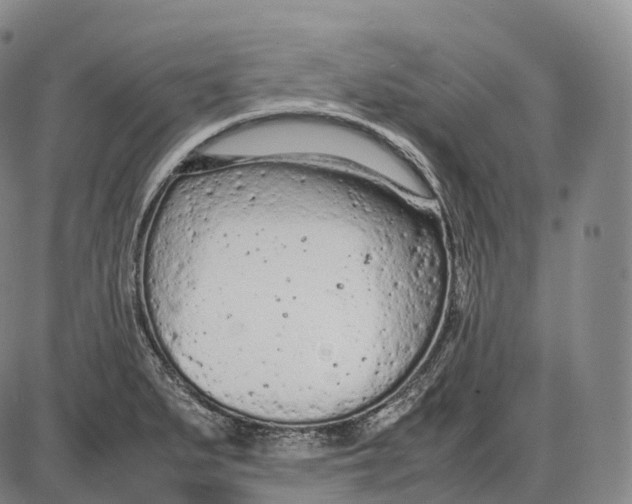 X0000085011279200703261145