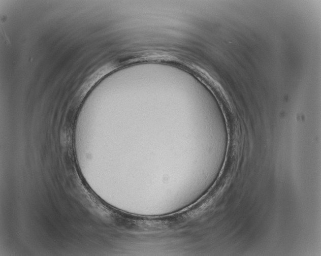 X0000085011281200703261145