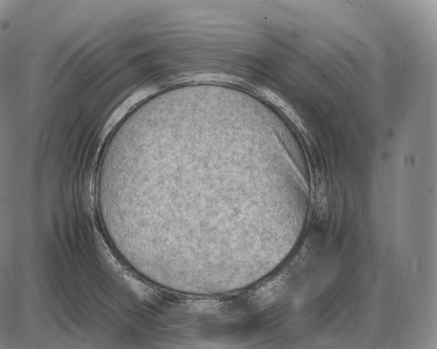 X0000085011282200703261145