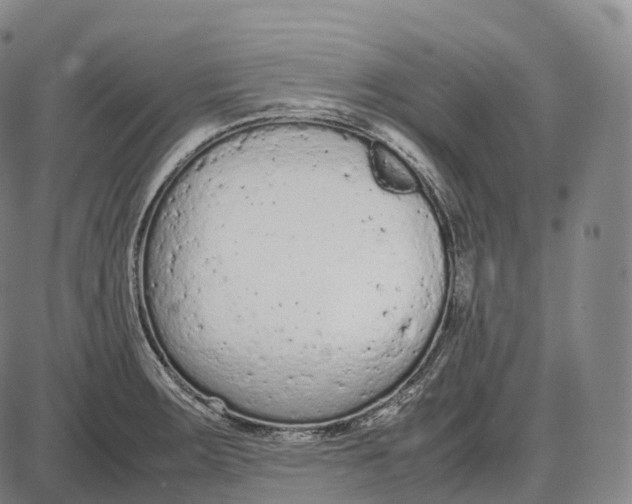 X0000085011283200703261145