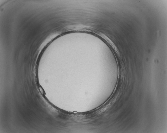 X0000085011285200703261145