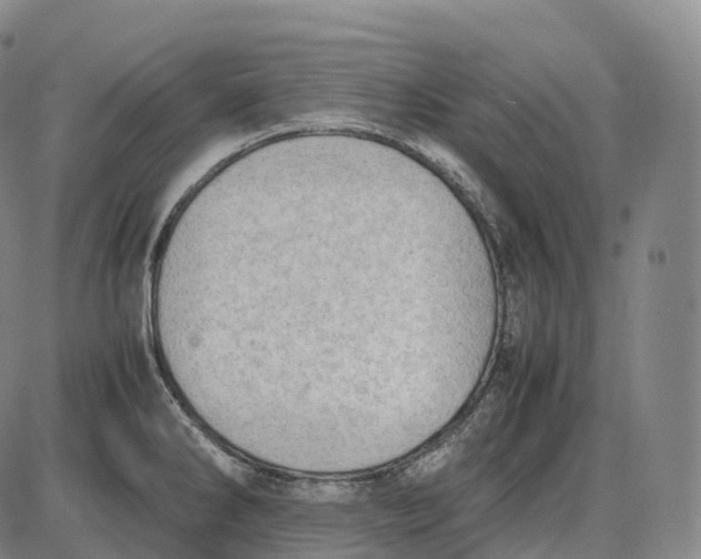 X0000085011286200703261145