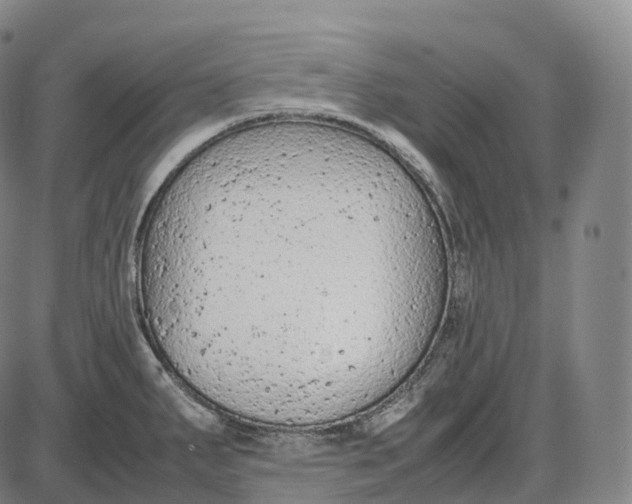 X0000085011287200703261145