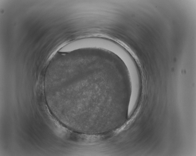 X0000085011289200703261145