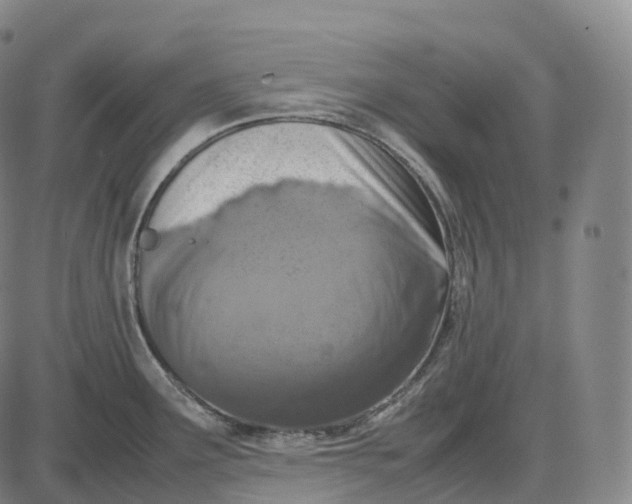 X0000085011291200703261145