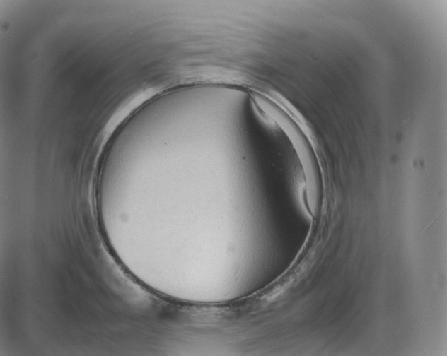 X0000085011293200703261145