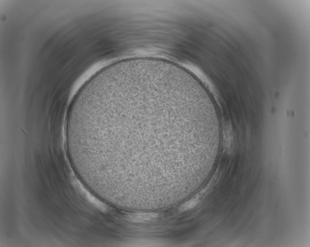 X0000085011294200703261145