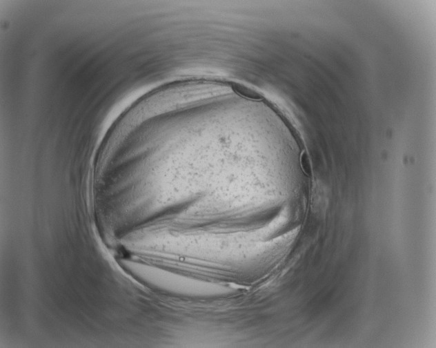 X0000085011295200703261145