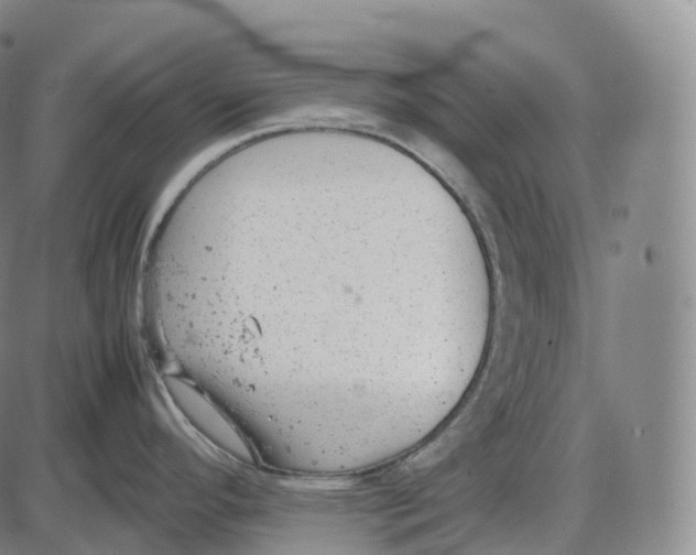 X0000085011296200703261145