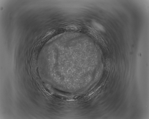 X0000085011297200703261144