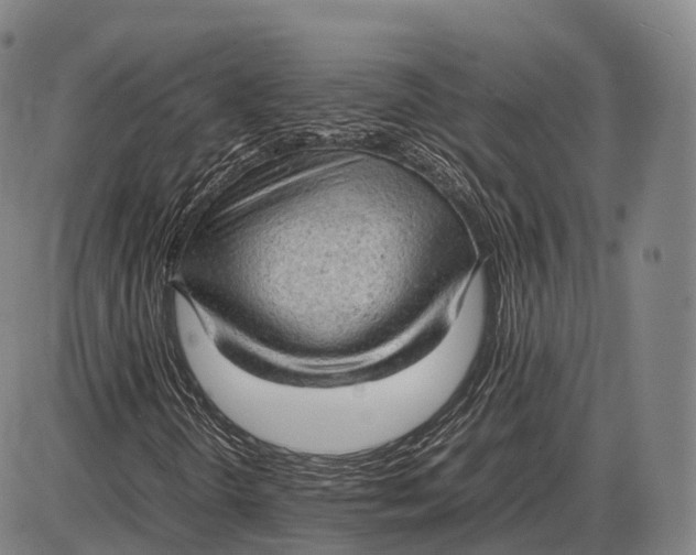 X0000085011298200703261144