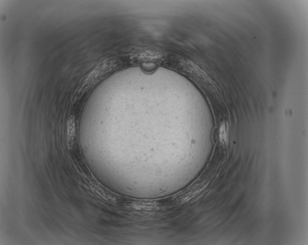 X0000085011299200703261144