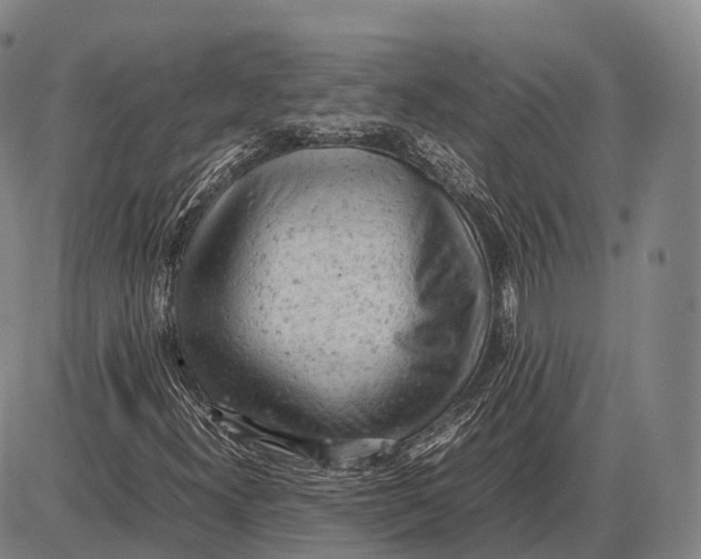 X0000085011300200703261144