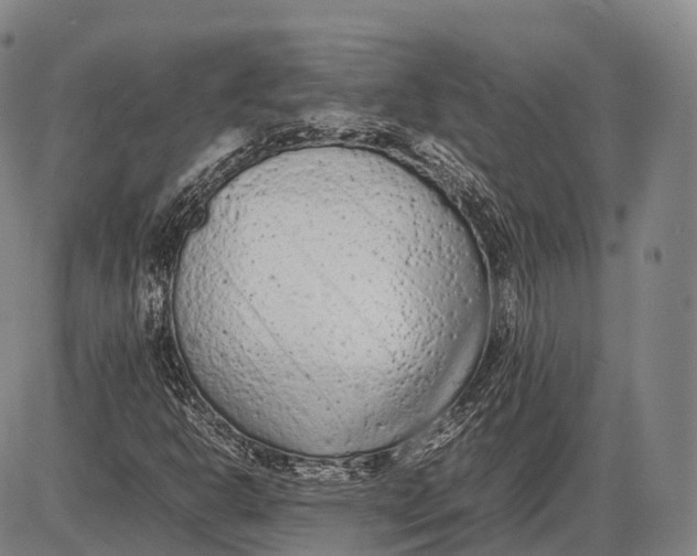 X0000085011302200703261144