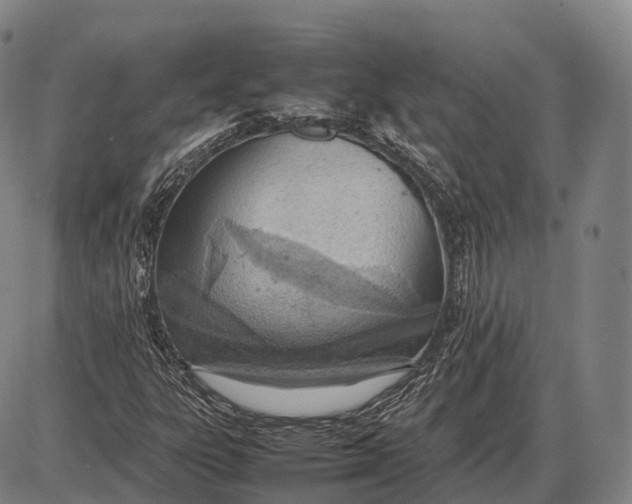 X0000085011303200703261144