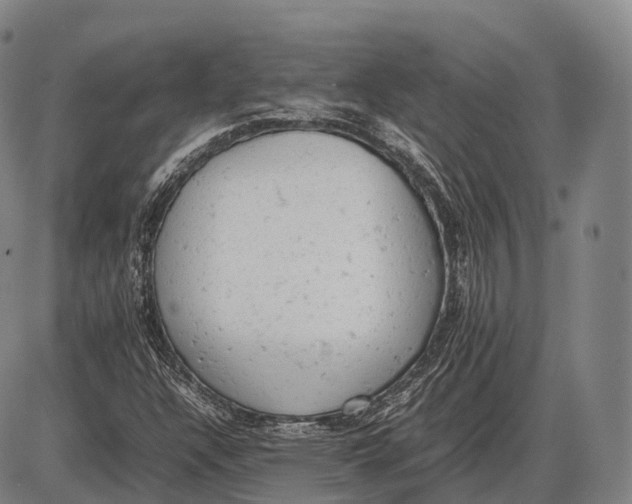 X0000085011304200703261144