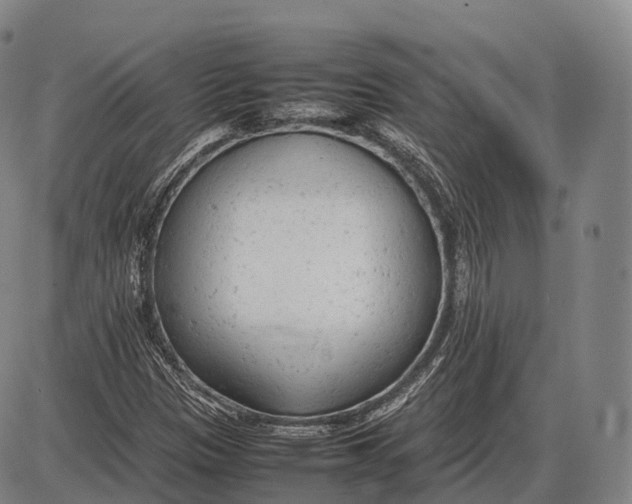 X0000085011305200703261144