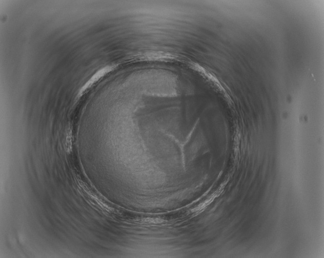 X0000085011306200703261144