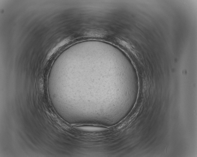 X0000085011307200703261144