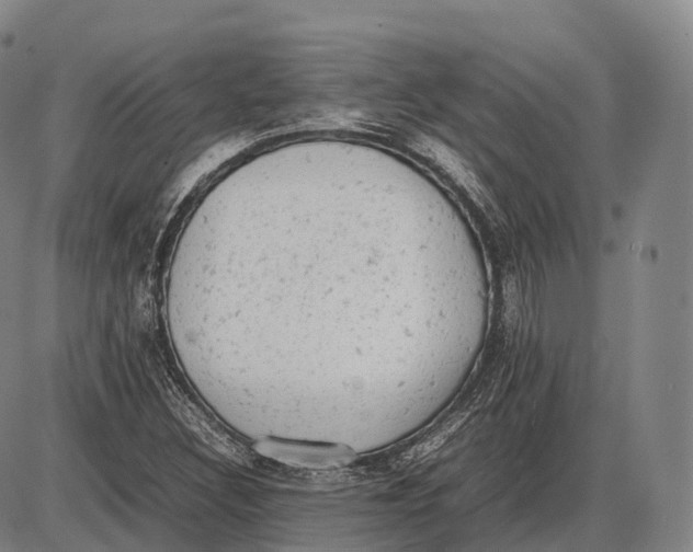 X0000085011308200703261144