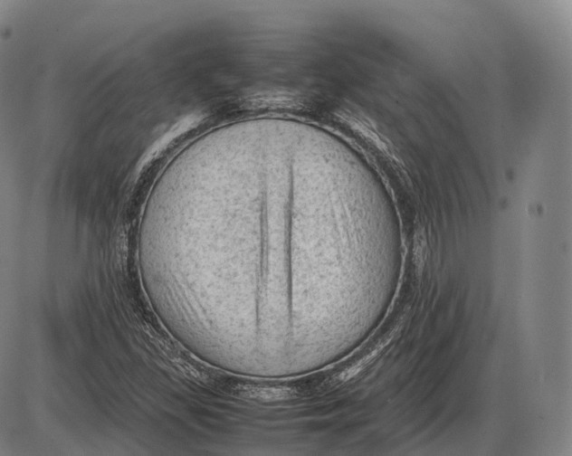 X0000085011309200703261144