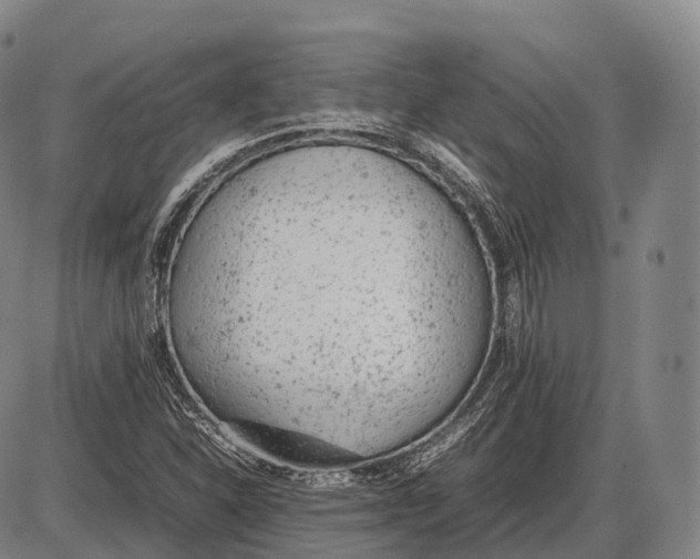 X0000085011310200703261144