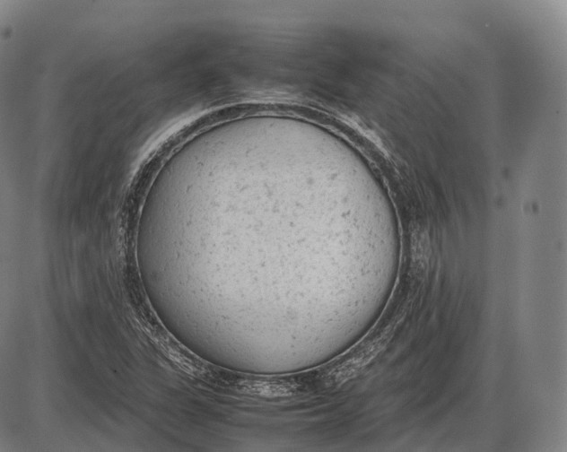 X0000085011311200703261144