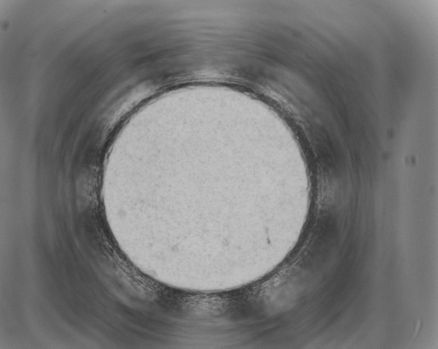 X0000085011314200703261144