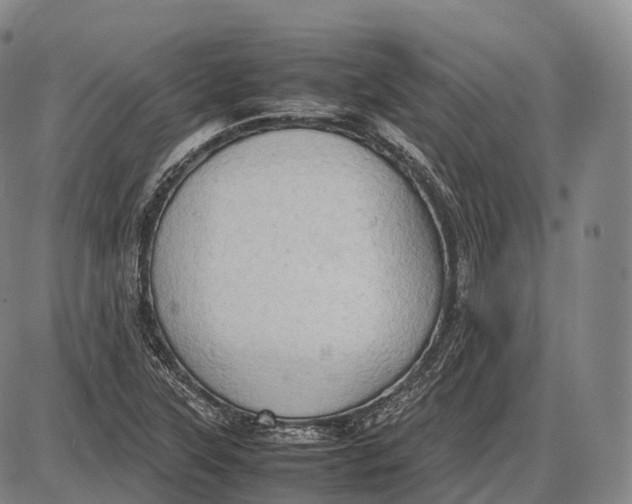 X0000085011315200703261144