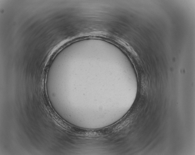 X0000085011316200703261144