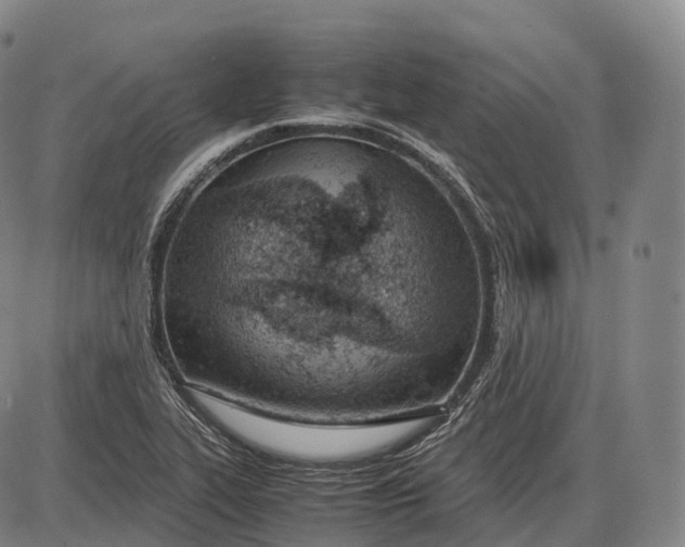 X0000085011319200703261144