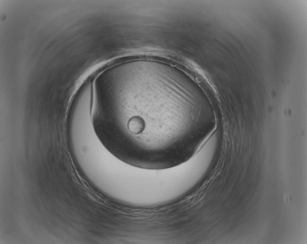 X0000085011320200703261144