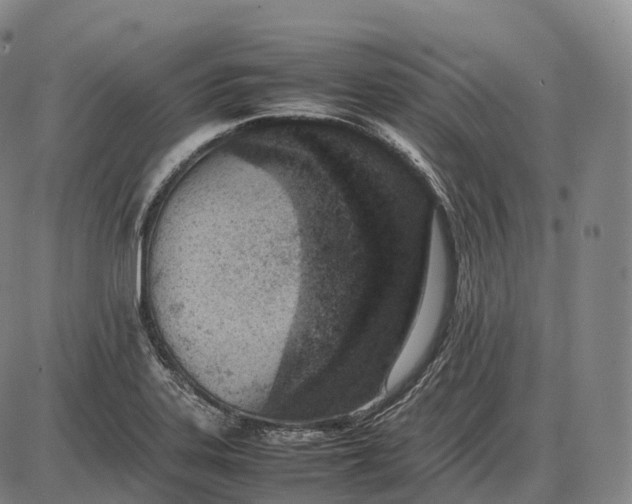 X0000085011323200703261144