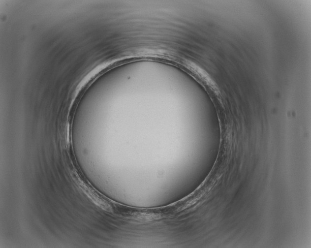 X0000085011324200703261144