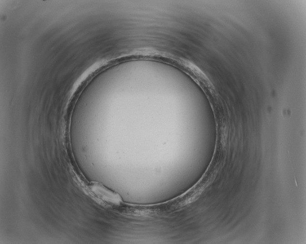 X0000085011326200703261145