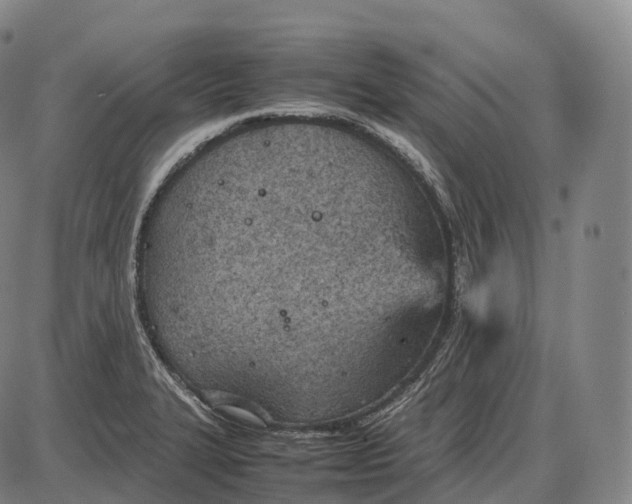 X0000085011327200703261145