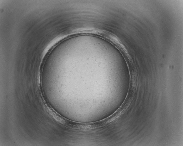 X0000085011328200703261145