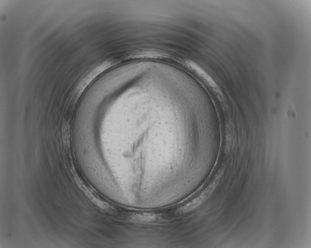 X0000085011329200703261145