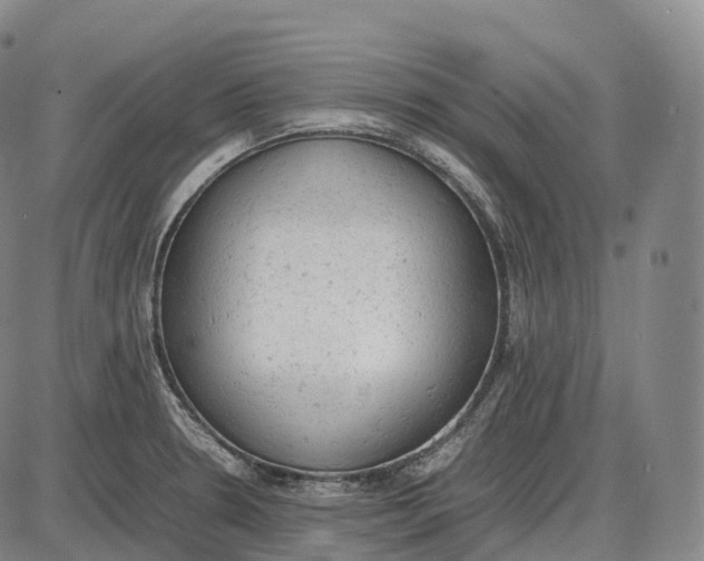 X0000085011330200703261145