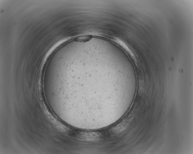 X0000085011331200703261145