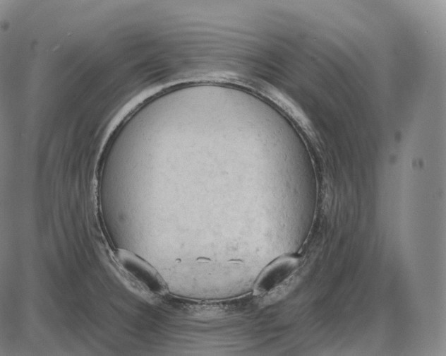 X0000085011332200703261145