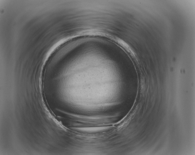 X0000085011334200703261145