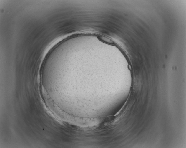 X0000085011335200703261145