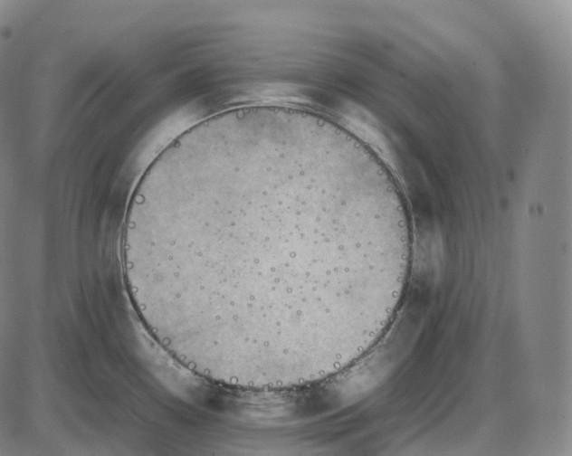 X0000085011338200703261145